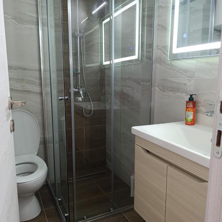 Sofi - Apartman sa 1 Spavaćom Sobom - 14