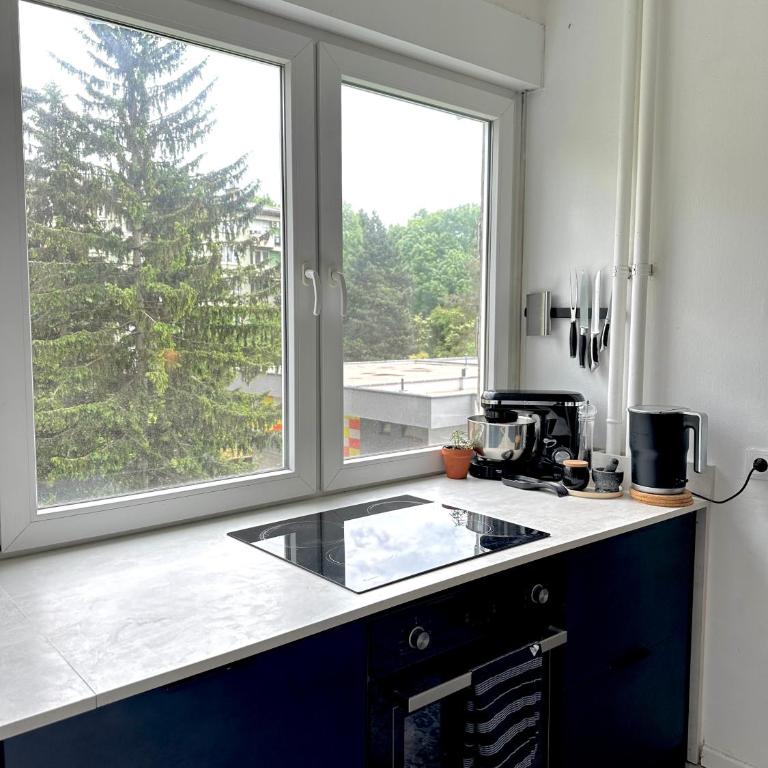 Olympic Stay Sarajevo - Apartman sa 1 Spavaćom Sobom - 5