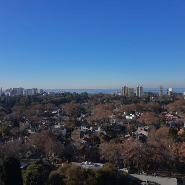 CasaOlivos - Apartamento de 1 dormitorio - 64