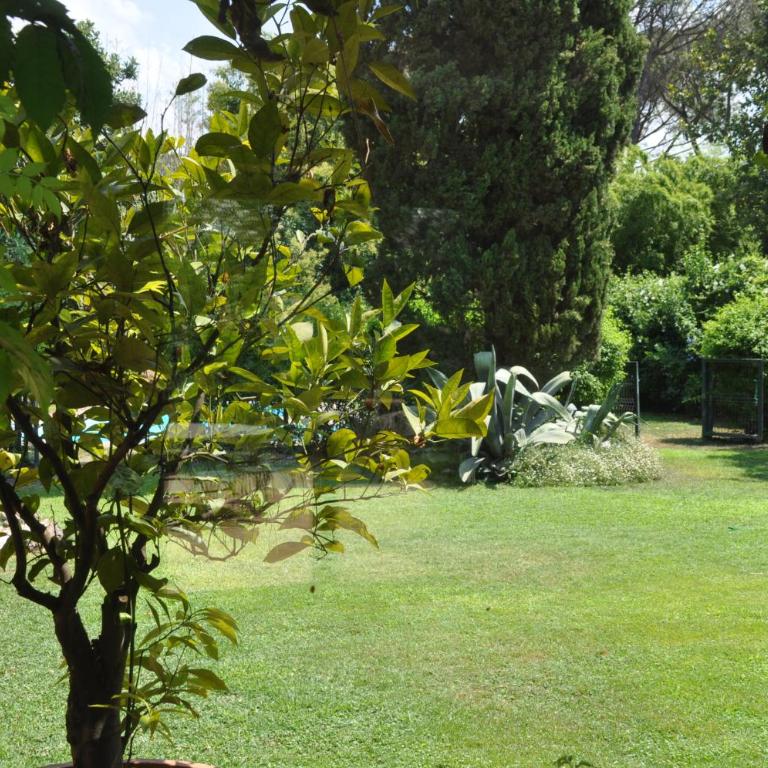 Luxury Villa - Appia Antica - Villa - 84