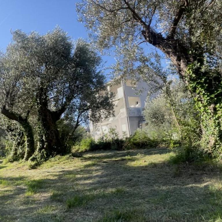 Aparments in the olives - Apartman sa 2 Spavaće Sobe - 4