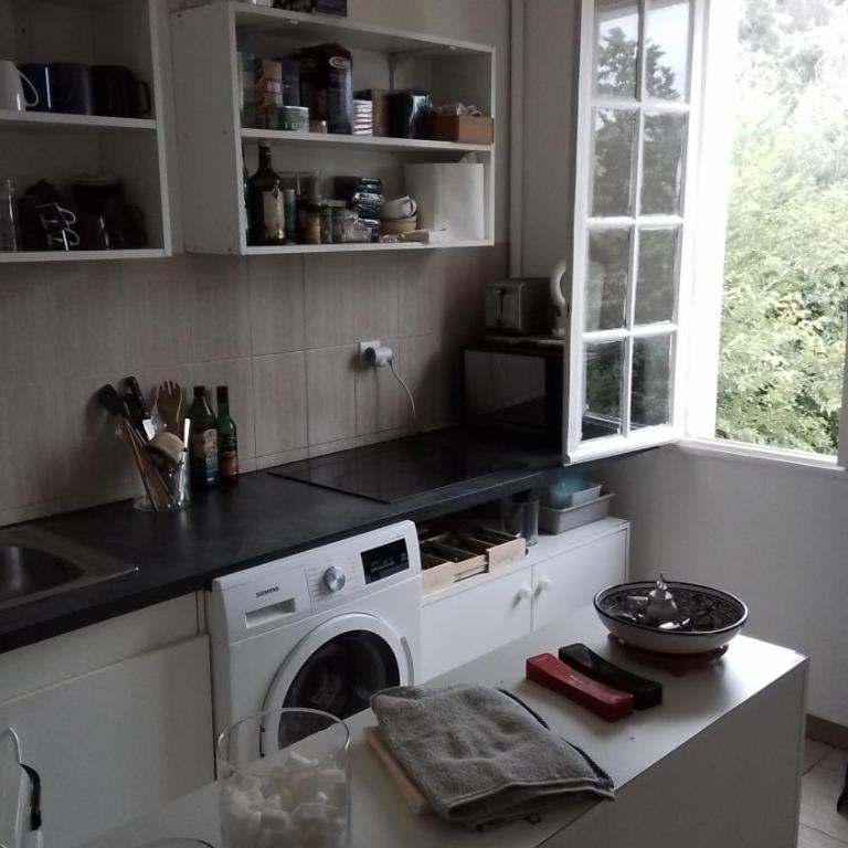Appart typique dans un chateau - Apartamento de 1 dormitorio - 4
