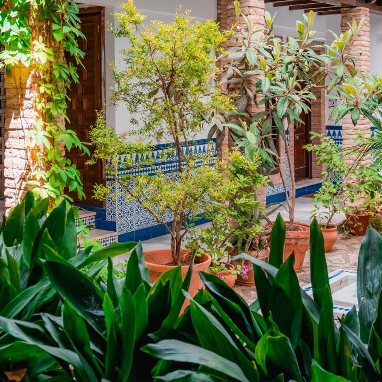 - Albaicín Histórico - QH Calderería Vieja - Two-Bedroom Apartment - 49