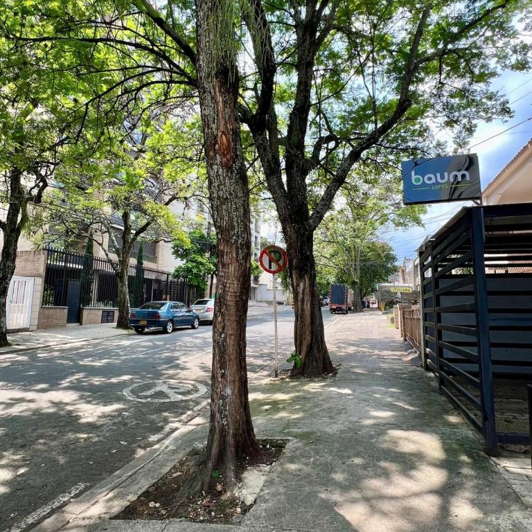 Baum Loft Santa Rita 204 - Apartamento de 2 dormitorios - 12