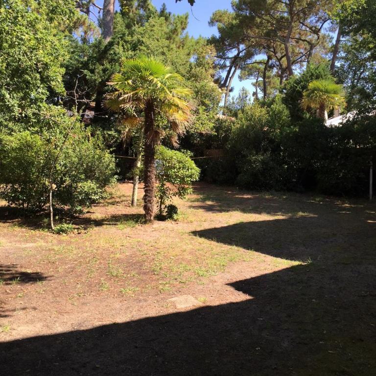 Minimum stay 15 nights Pls do not book if you are not sure - Apartamento de 2 dormitorios - 19