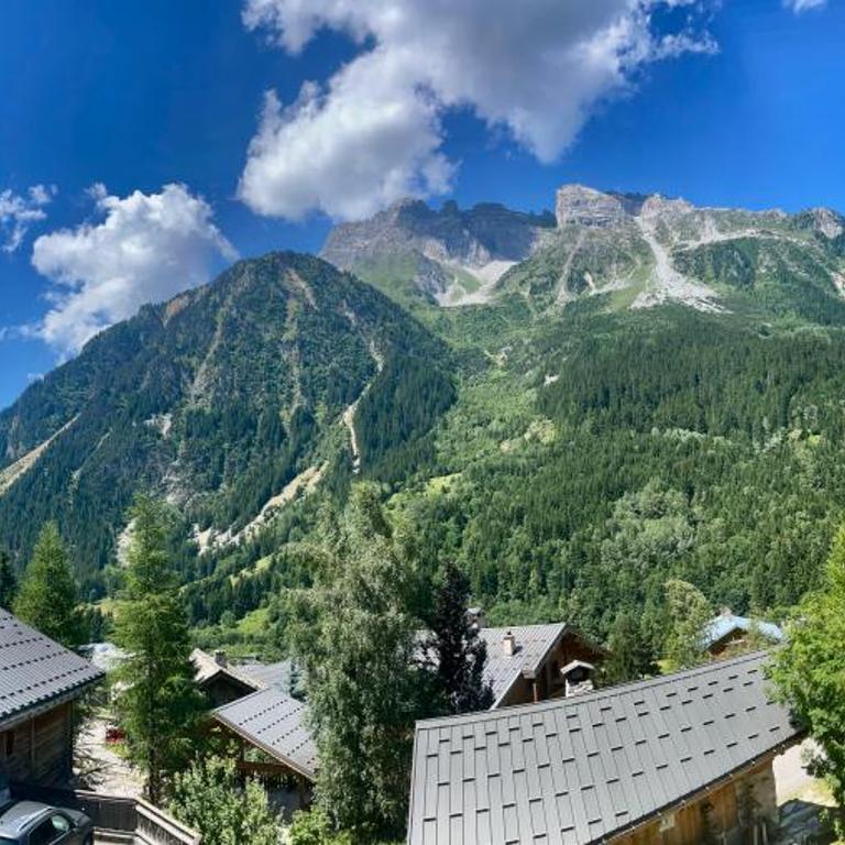 Appartement à la montagne - Appartamento con 2 Camere da Letto - 17