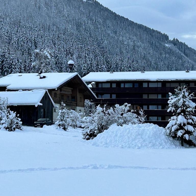 Charming apartment Berggeweih Lodge at Zwölferkogel in Hinterglemm - Familien-Apartment mit 1 Schlafzimmer - 38