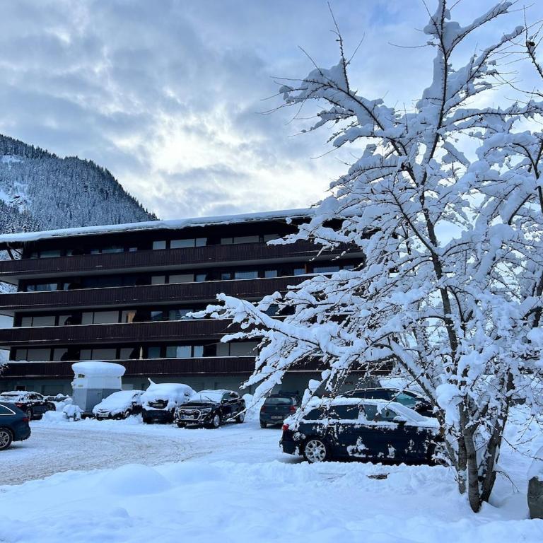 Charming apartment Berggeweih Lodge at Zwölferkogel in Hinterglemm - Familien-Apartment mit 1 Schlafzimmer - 39