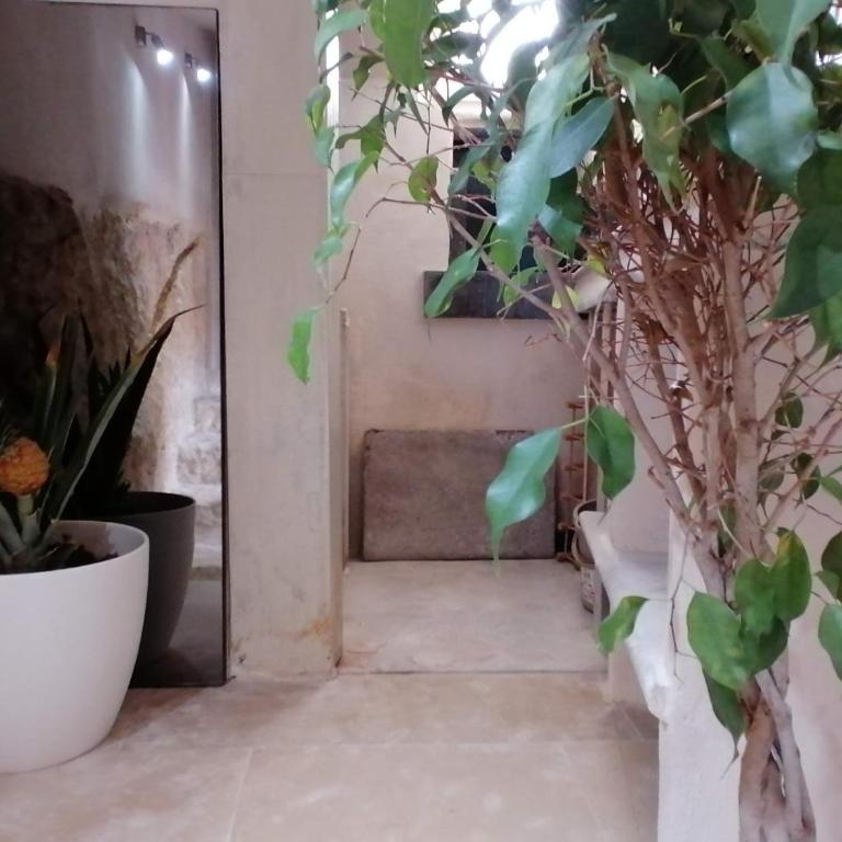 Le Terrazze della Torre - Casa con 1 Camera da Letto - 9