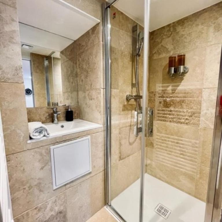 Ben Nevis charmant studio au coeur de la vie animée du Pré Carré proche lac - Studio - 3