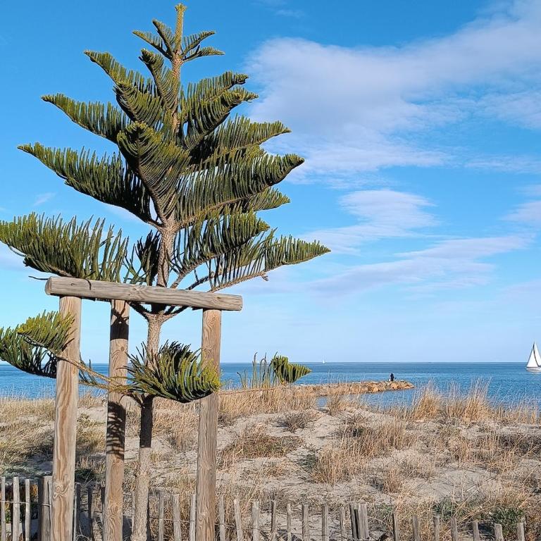 Appartement climatisé accès direct plage - Apartment mit 1 Schlafzimmer - 20
