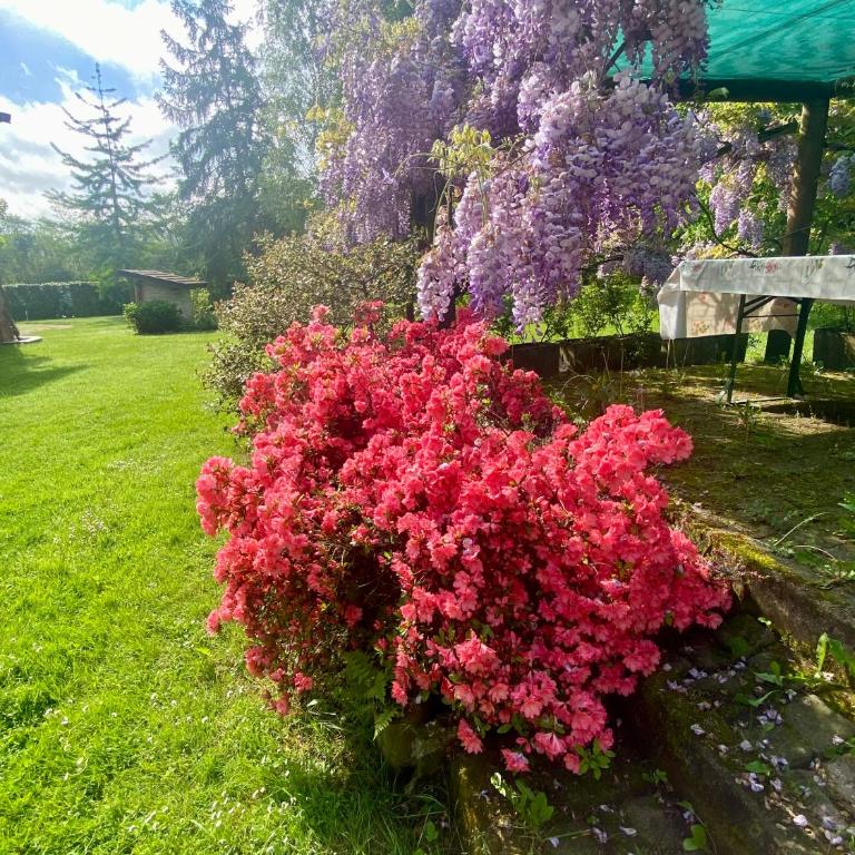 Villa Giulia - Marguareis - Appartement avec Vue sur la Montagne - 47