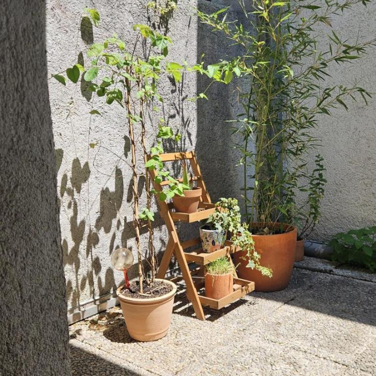 Petit nid au cœur du centre historique d'Annecy - Apartment mit 1 Schlafzimmer – Nichtraucher - 55