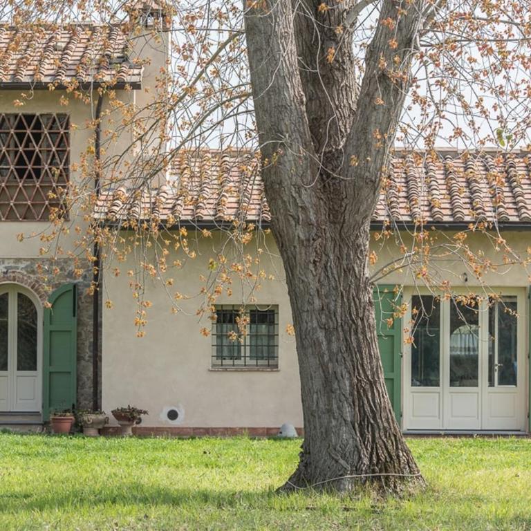 Relax verde e mare - Two-Bedroom House - 1