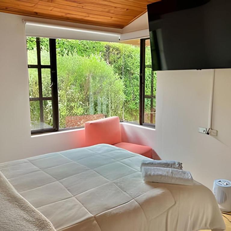 Casa con huerto orgánico. - Deluxe Villa - 7
