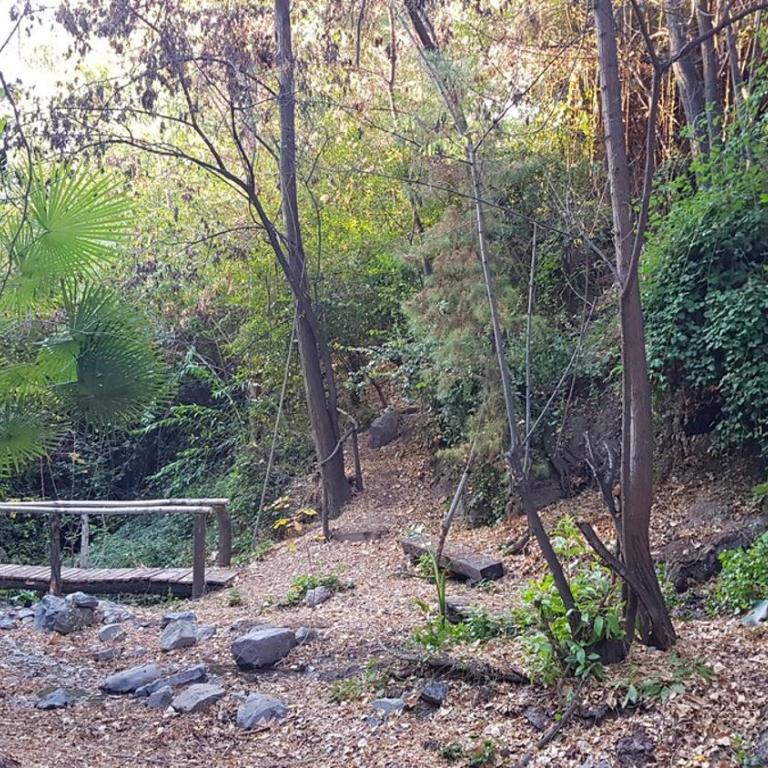 Gran Casa y Parcela de Campo y Montaña a 90 minutos de Santiago - Five-Bedroom House - 27