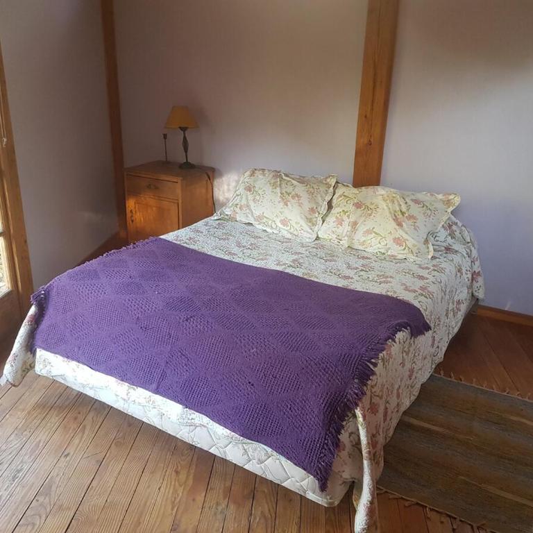 Gran Casa y Parcela de Campo y Montaña a 90 minutos de Santiago - Five-Bedroom House - 72