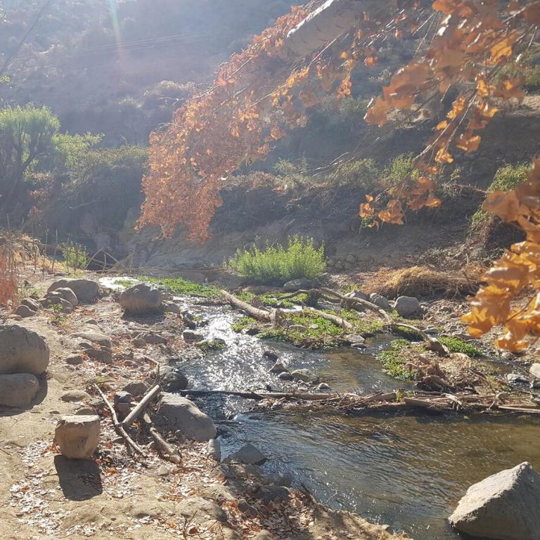 Gran Casa y Parcela de Campo y Montaña a 90 minutos de Santiago - Five-Bedroom House - 5