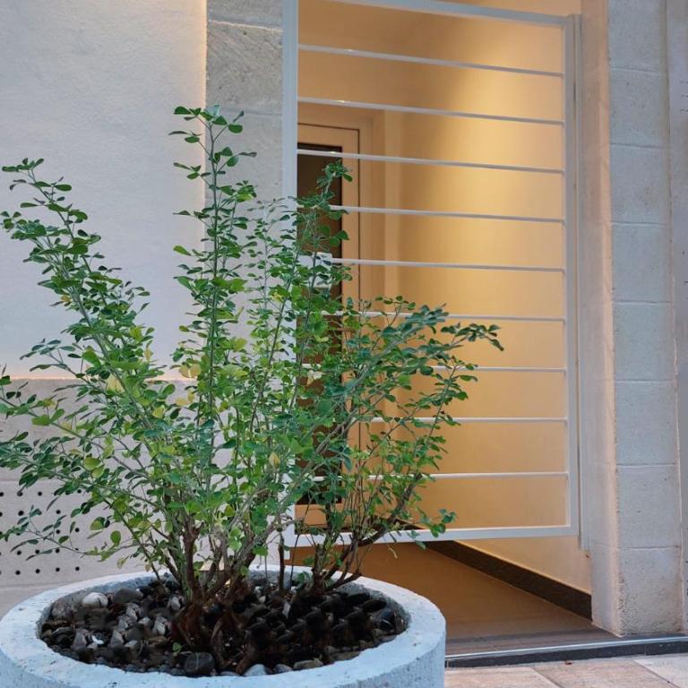 VIALI Guest House - Casa con 1 Camera da Letto - 18