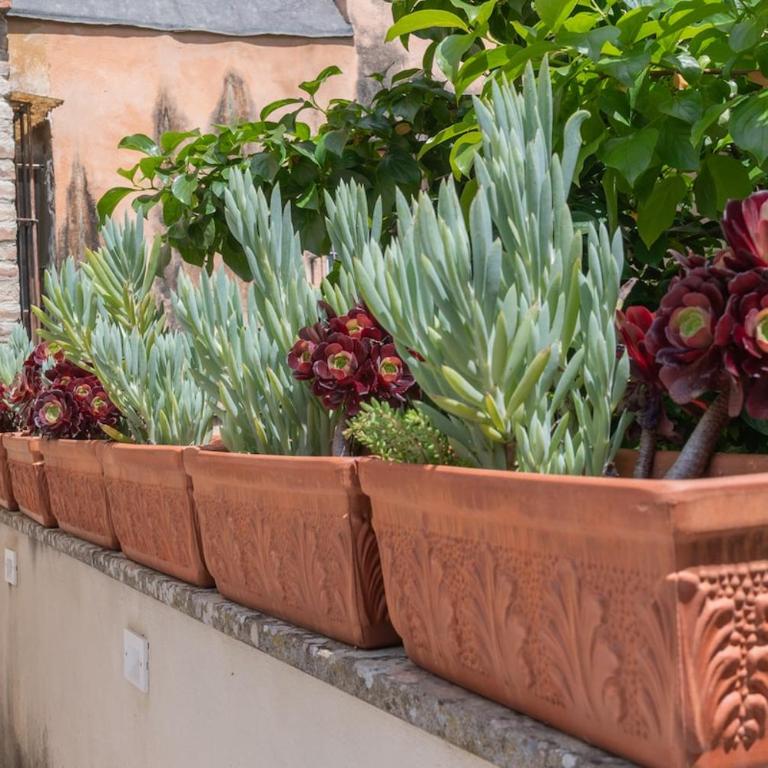 Stone loft with cozy terrace downtown Perugia - Appartamento con 2 Camere da Letto - 12
