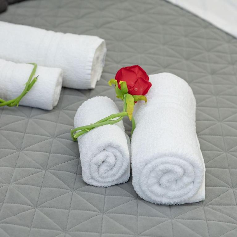 Red Roses Domus Rome - Appartamento con 1 Camera da Letto - 52