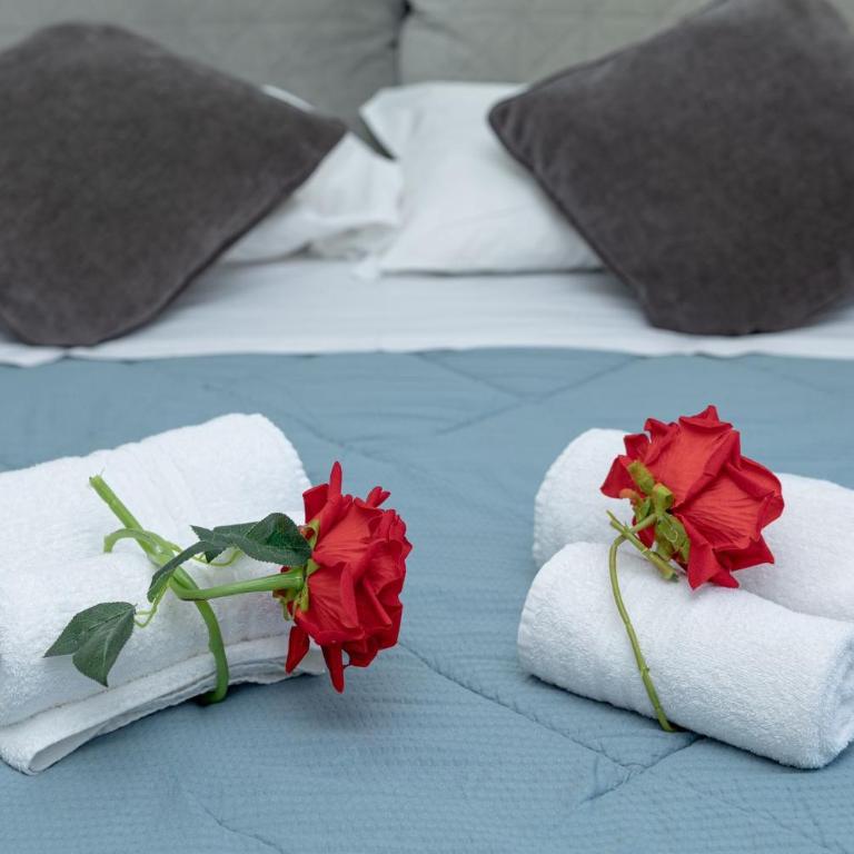 Red Roses Domus Rome - Appartamento con 1 Camera da Letto - 56