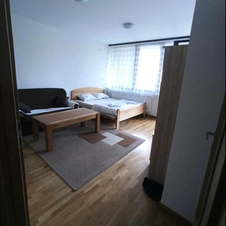 Avaz - apartman - Apartman sa 1 Spavaćom Sobom - 5