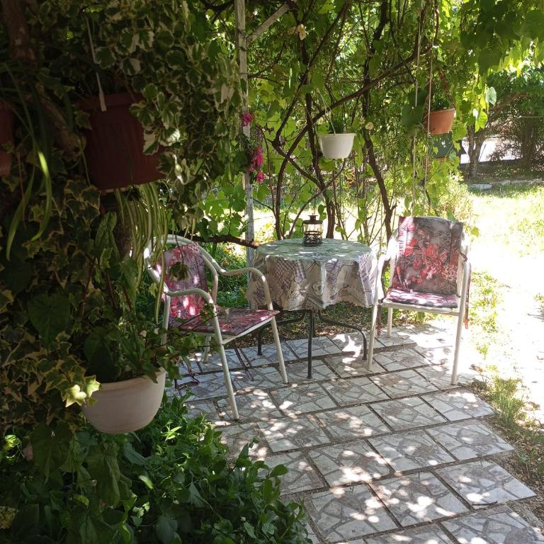 Apartman Lavanda M - Porodična Soba sa Sopstvenim Kupatilom - 6