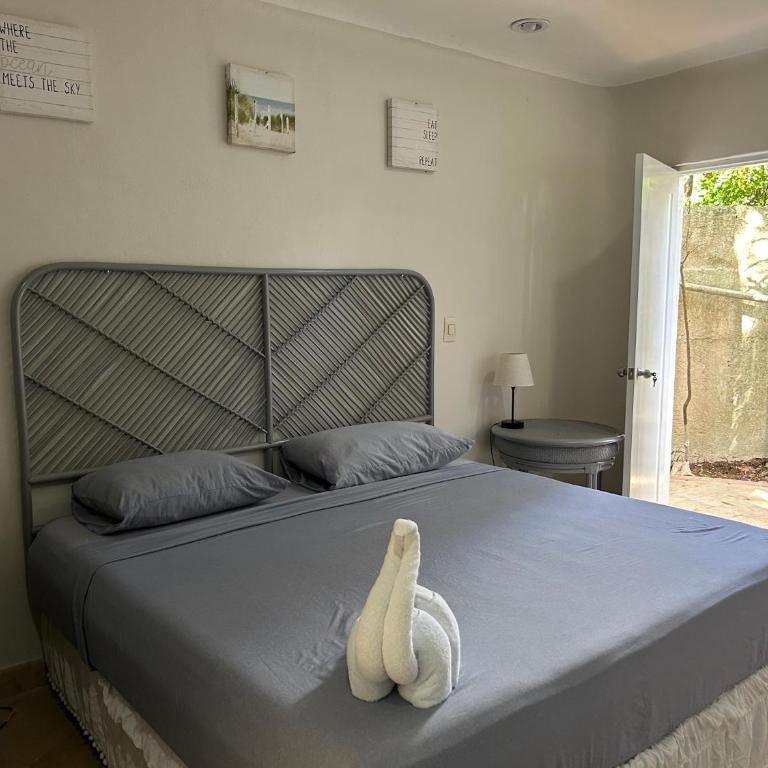 Blue angel 11 a pasos de la playa y la 5v - Apartamento Estudio de 2 dormitorios - 5