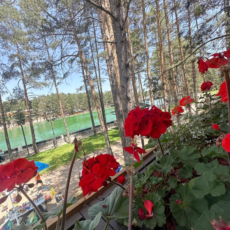 Centar Lux 3M - One-Bedroom Apartment - 12