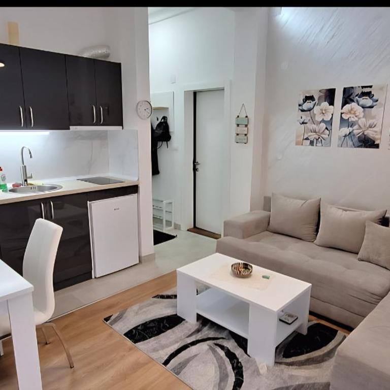 Apricus Apartman Vrnjačka banja - Apartman sa 1 Spavaćom Sobom - 1