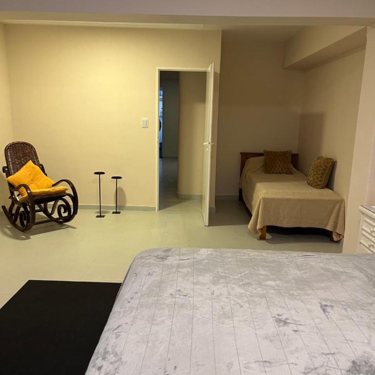 Dpto SANTIAGO - One-Bedroom Apartment - 27