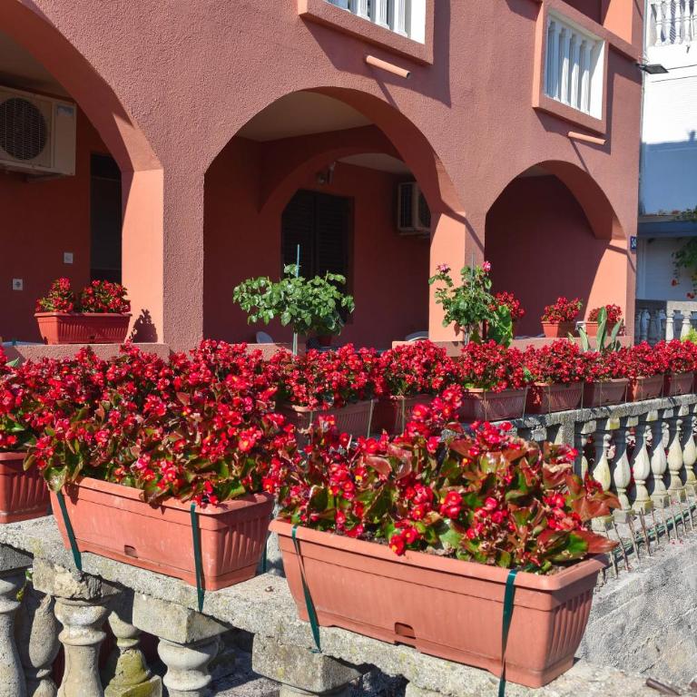 Vila Apartments Lidija - Twin Room with Garden View - 3