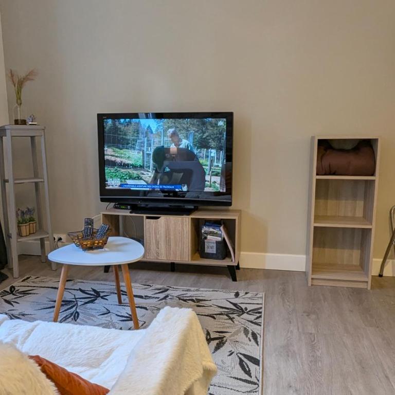 Studio spacieux - Labronie - One-Bedroom Apartment - 4