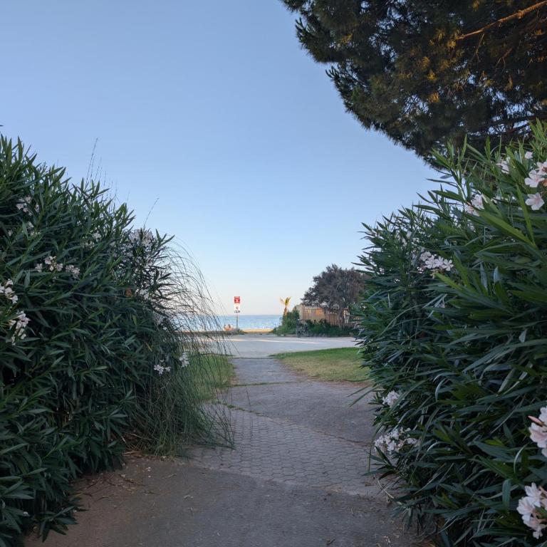 Studio Vue d'Or plage à 50m WIfi et clim - Estudio con vistas al mar - 12