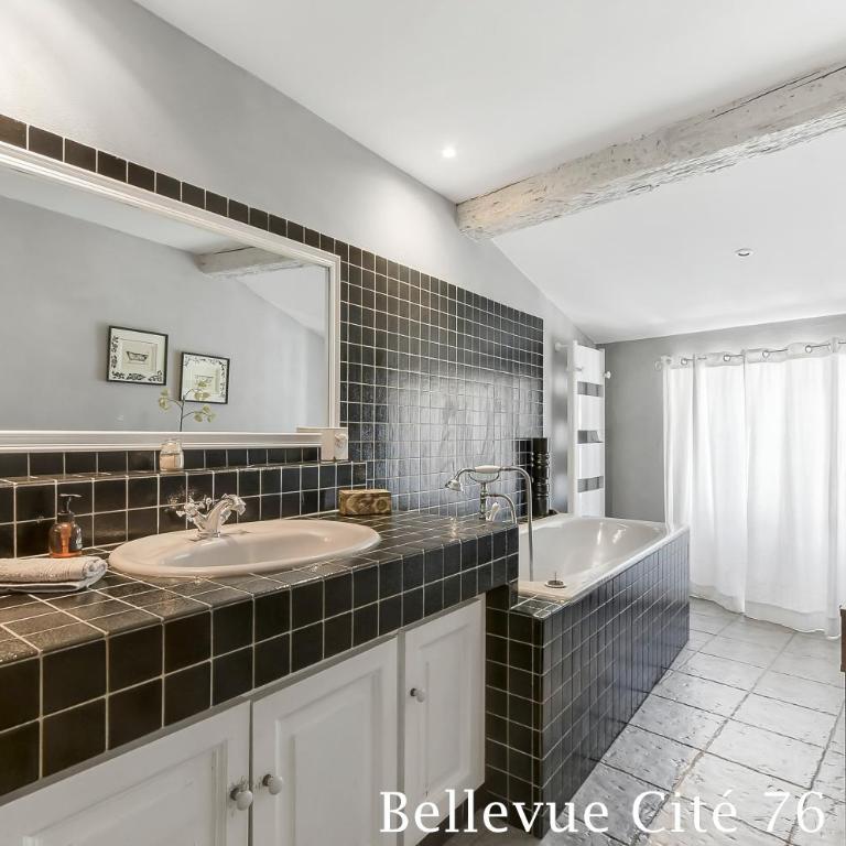 Les Bellevue Cité Trivalle "3 Apartments, 1 with Terrace & Private Parking, Aircon, WiFi, 500m from Cité, free public car park 200m" - Ferienhaus - 36
