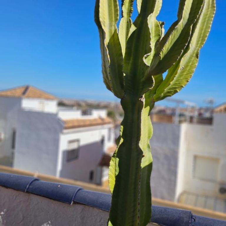 VillaCasaEmilyo - Apartamento de 3 dormitorios - 21