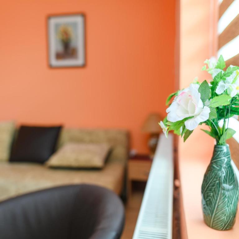 Smestaj STAI, u ulici Nikole Tesle 10, Sokobanja - Two-Bedroom Apartment with Mountain View - 26
