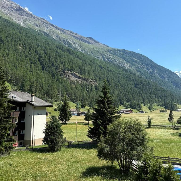 Gorgeous Modern Mountain View Flat in Täsch with free parking - Apartment mit 2 Schlafzimmern und Bergblick - 11