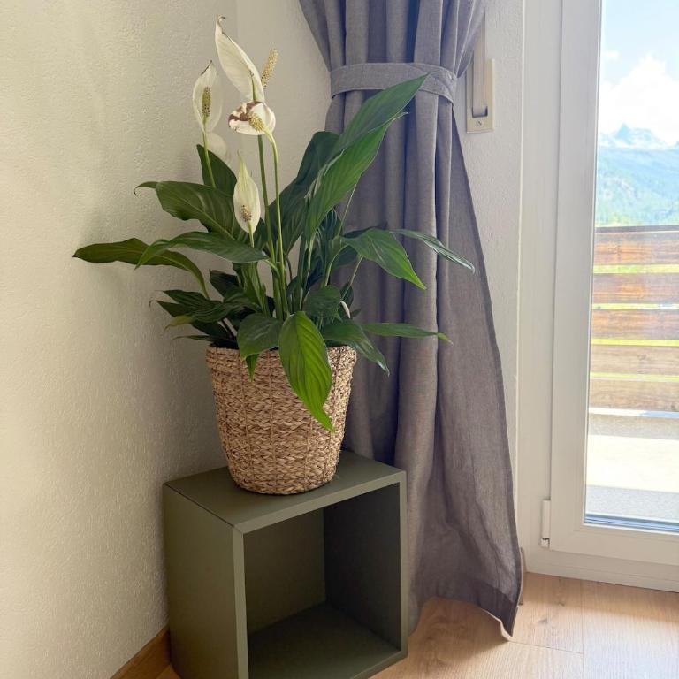 Gorgeous Modern Mountain View Flat in Täsch with free parking - Apartment mit 2 Schlafzimmern und Bergblick - 39