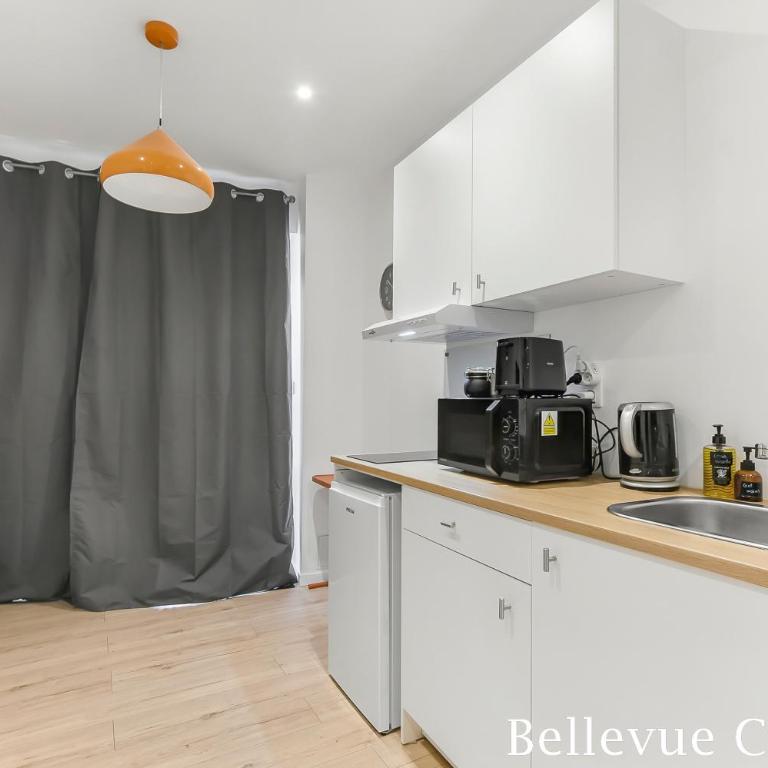 Les Bellevue Cité Trivalle "3 Apartments, 1 with Terrace & Private Parking, Aircon, WiFi, 500m from Cité, free public car park 200m" - Studio-Apartment - 10