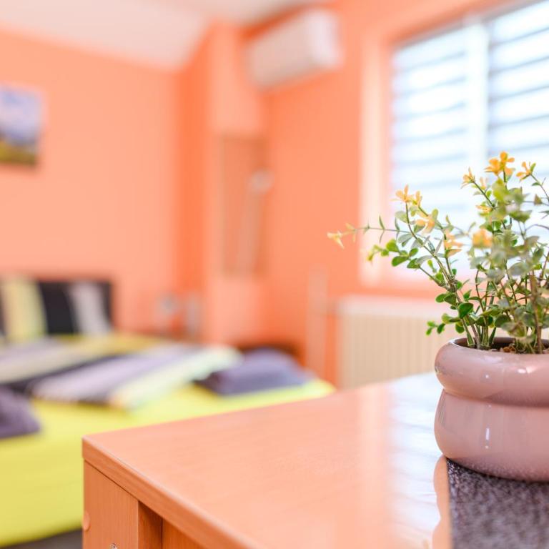 Smestaj STAI, u ulici Nikole Tesle 10, Sokobanja - Porodični Studio - 5