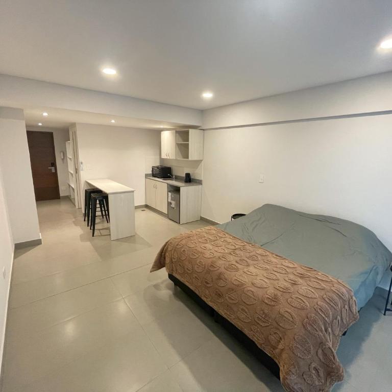 Studio nuevo, cómodo, luminoso, pleno centro Jujuy - One-Bedroom Apartment - 3