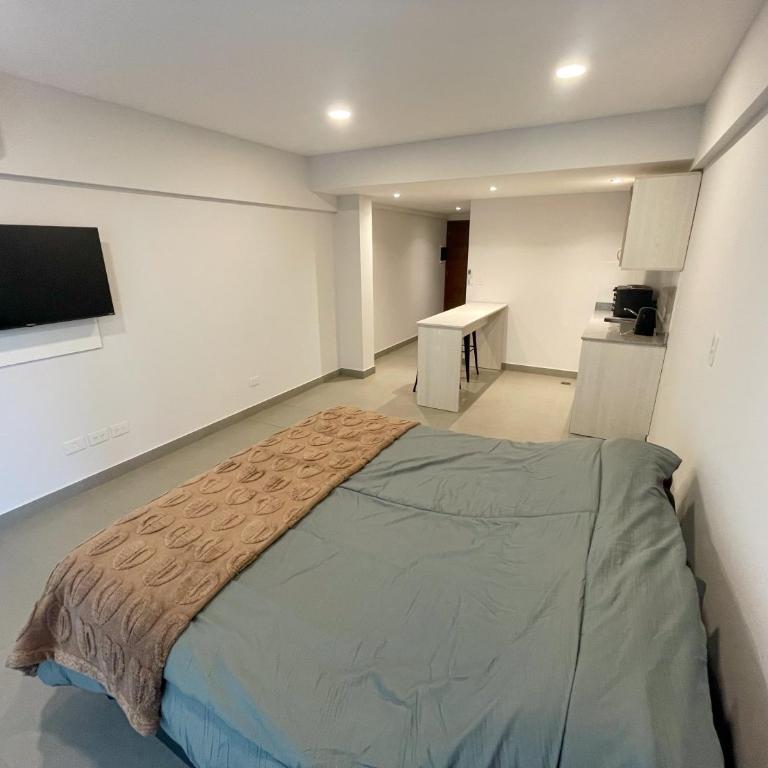 Studio nuevo, cómodo, luminoso, pleno centro Jujuy - One-Bedroom Apartment - 4