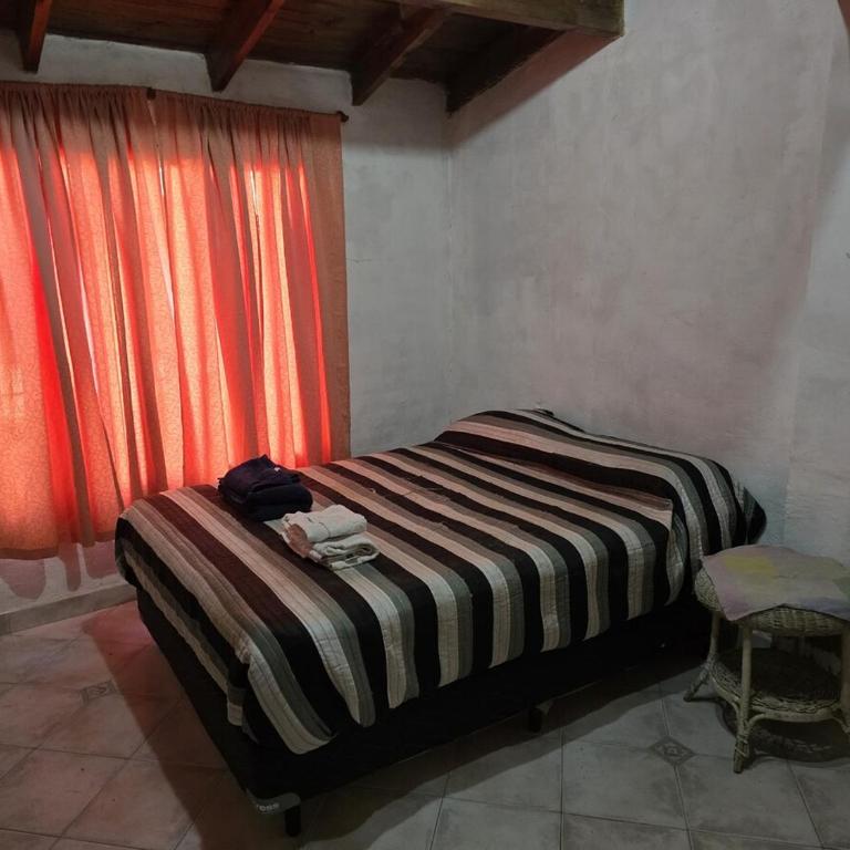 House in Plottier - Apartamento de 1 dormitorio - 4
