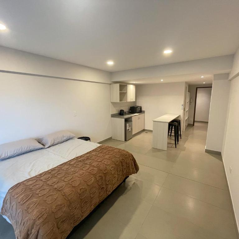 Studio céntrico, moderno, a pasos del casco histórico - One-Bedroom Apartment - 3