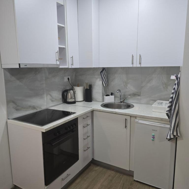 Apartman Una - Apartman s 1 Spavaćom Sobom i Balkonom - 9