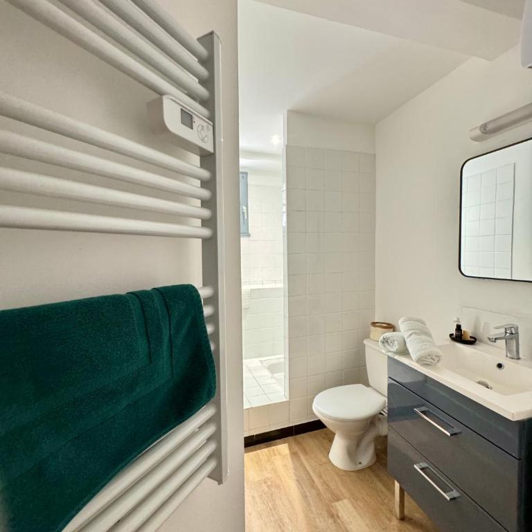Charmant appartement cité Médiévale - Pont Vieux - Apartment mit 1 Schlafzimmer - 3