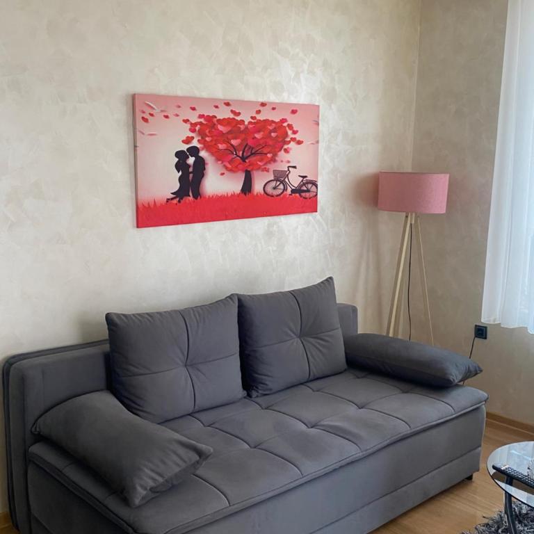 Zlatibor lux centar - Apartman sa 1 Spavaćom Sobom - 3