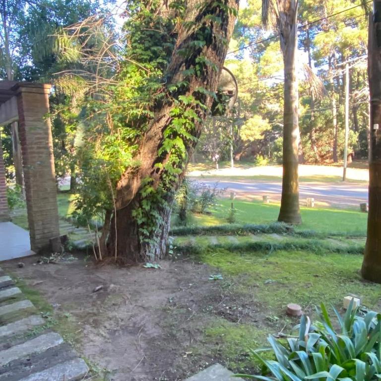 La Esther del Este - Four-Bedroom House - 10